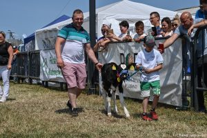 XXX Pomorskie Agro-Targi, Wystawa Zwierząt Hodowlanych w Lubaniu
