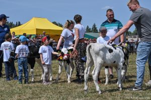 XXX Pomorskie Agro-Targi, Wystawa Zwierząt Hodowlanych w Lubaniu