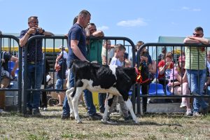 XXX Pomorskie Agro-Targi, Wystawa Zwierząt Hodowlanych w Lubaniu
