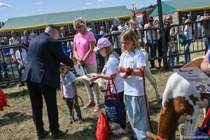 XXX Pomorskie Agro-Targi, Wystawa Zwierząt Hodowlanych w Lubaniu