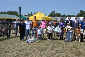 XXX Pomorskie Agro-Targi, Wystawa Zwierząt Hodowlanych w Lubaniu