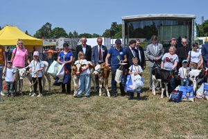 XXX Pomorskie Agro-Targi, Wystawa Zwierząt Hodowlanych w Lubaniu