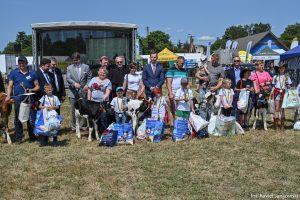 XXX Pomorskie Agro-Targi, Wystawa Zwierząt Hodowlanych w Lubaniu
