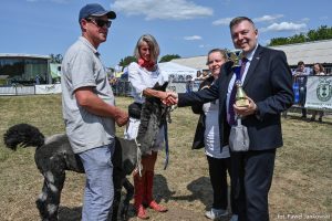 XXX Pomorskie Agro-Targi, Wystawa Zwierząt Hodowlanych w Lubaniu