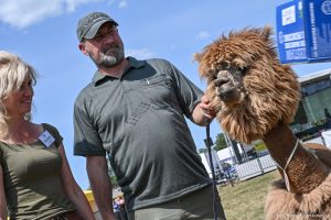 XXX Pomorskie Agro-Targi, Wystawa Zwierząt Hodowlanych w Lubaniu