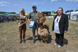 XXX Pomorskie Agro-Targi, Wystawa Zwierząt Hodowlanych w Lubaniu