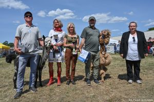 XXX Pomorskie Agro-Targi, Wystawa Zwierząt Hodowlanych w Lubaniu