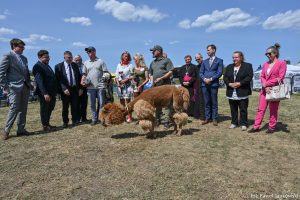 XXX Pomorskie Agro-Targi, Wystawa Zwierząt Hodowlanych w Lubaniu