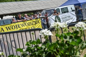 XXX Pomorskie Agro-Targi, Wystawa Zwierząt Hodowlanych w Lubaniu