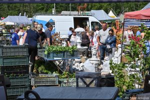 XXX Pomorskie Agro-Targi, Wystawa Zwierząt Hodowlanych w Lubaniu