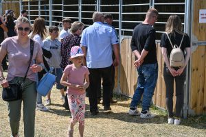 XXX Pomorskie Agro-Targi, Wystawa Zwierząt Hodowlanych w Lubaniu