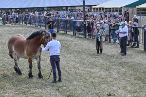 XXX Pomorskie Agro-Targi, Wystawa Zwierząt Hodowlanych w Lubaniu