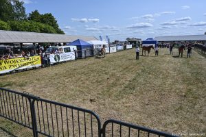 XXX Pomorskie Agro-Targi, Wystawa Zwierząt Hodowlanych w Lubaniu