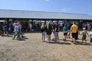 XXX Pomorskie Agro-Targi, Wystawa Zwierząt Hodowlanych w Lubaniu