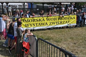 XXX Pomorskie Agro-Targi, Wystawa Zwierząt Hodowlanych w Lubaniu