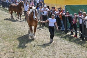 XXX Pomorskie Agro-Targi, Wystawa Zwierząt Hodowlanych w Lubaniu