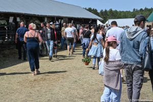 XXX Pomorskie Agro-Targi, Wystawa Zwierząt Hodowlanych w Lubaniu