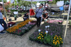 XXX Pomorskie Agro-Targi, Wystawa Zwierząt Hodowlanych w Lubaniu