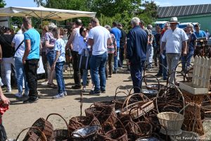 XXX Pomorskie Agro-Targi, Wystawa Zwierząt Hodowlanych w Lubaniu