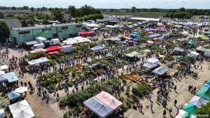 XXX Pomorskie Agro-Targi, Wystawa Zwierząt Hodowlanych w Lubaniu