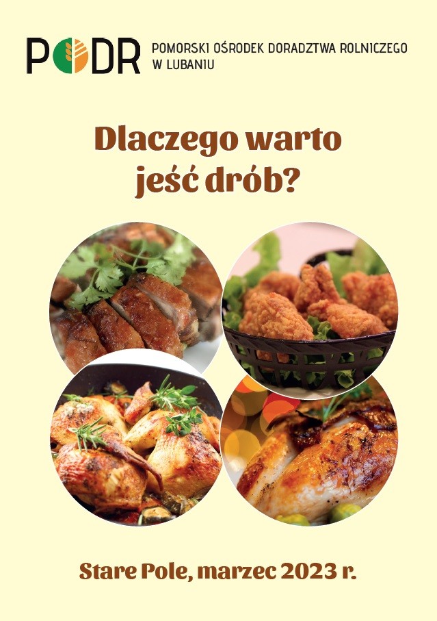 okładka ulotki