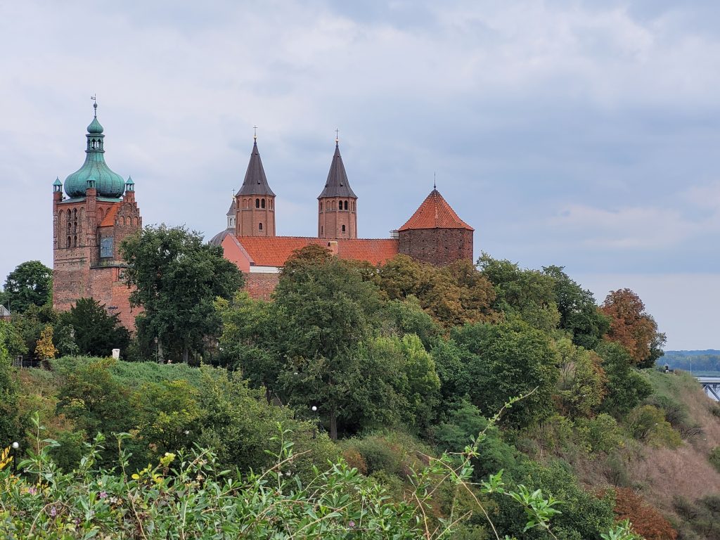 Dzień Polskiej Ekologii na Wzgórzu Tumskim w Płocku