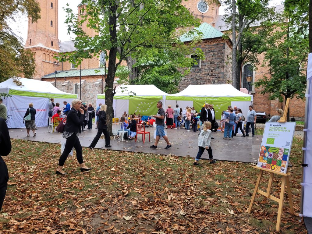 Warsztaty edukacyjne dla dzieci