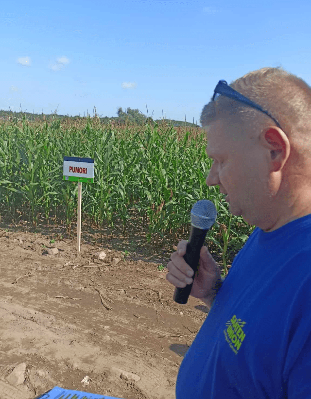 Dzień ziemniaka i kukurydzy