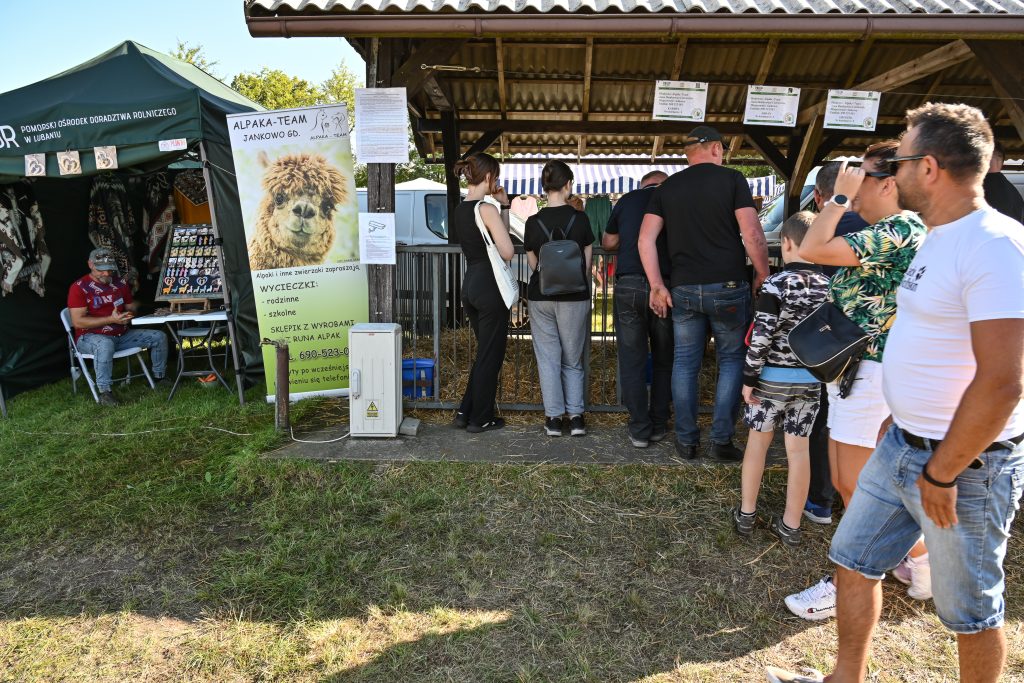 XXV Kaszubska Jesień Rolnicza 2023