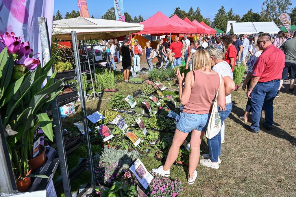 XXV Kaszubska Jesień Rolnicza 2023