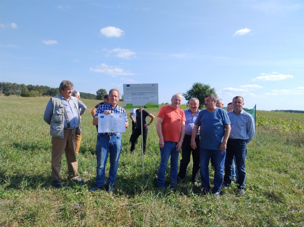 Demonstracje ekologiczne - Zielona Infrastruktura