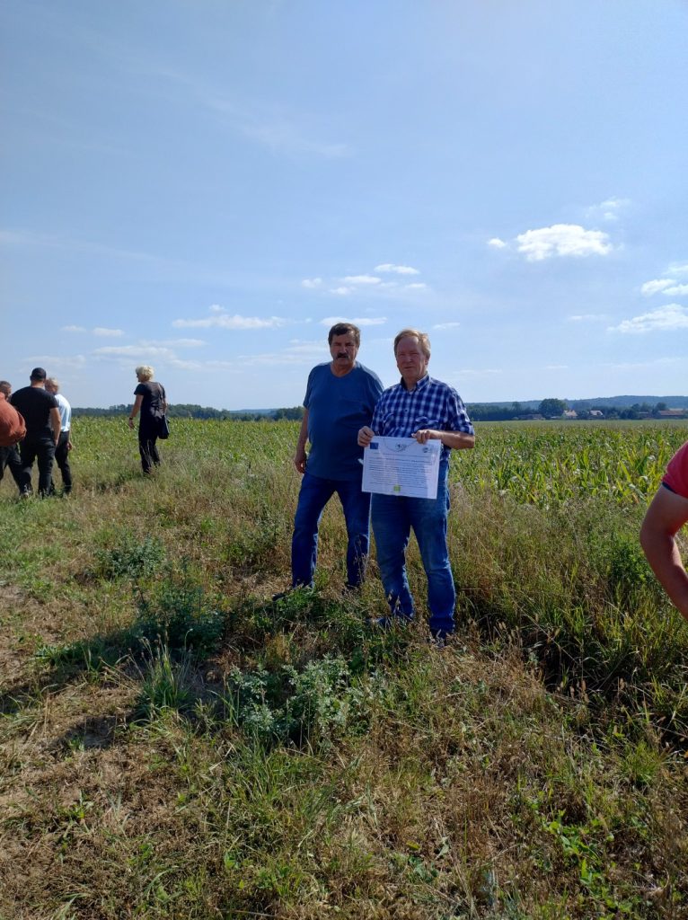 Demonstracje ekologiczne - Zielona Infrastruktura (4)
