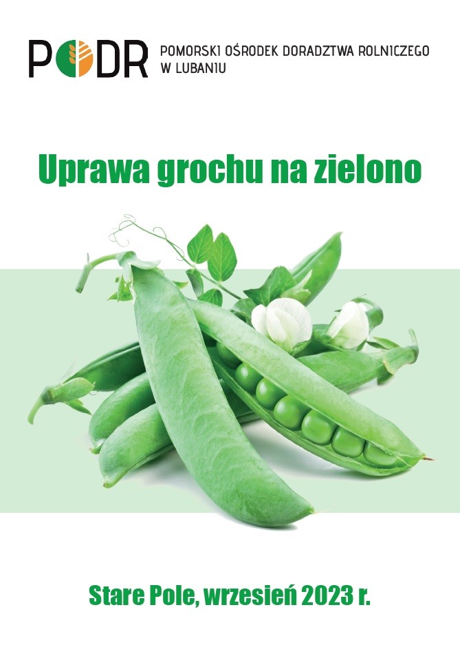Uprawa grochu na zielono