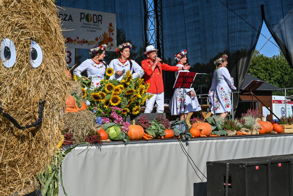 występy artystyczne