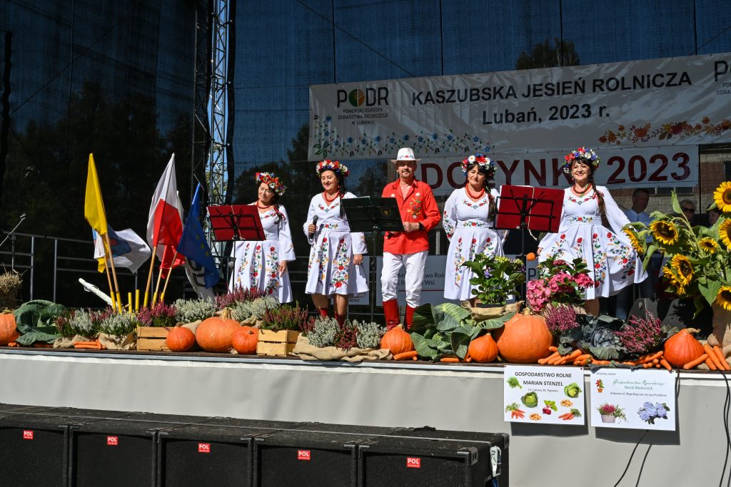 występy artystyczne zespołu muzycznego