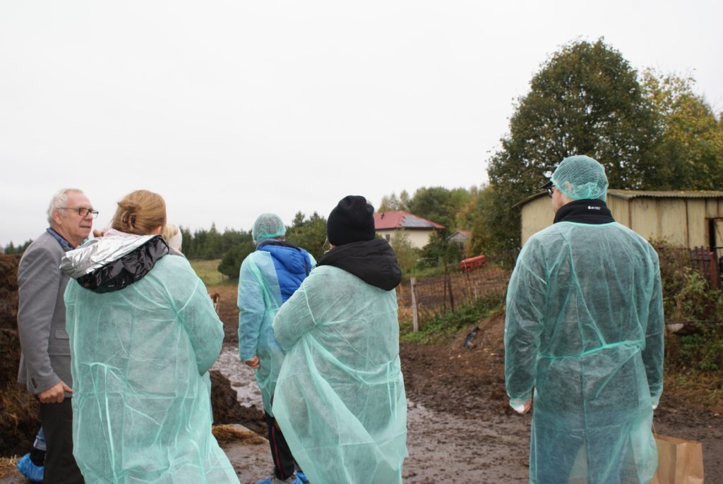 uczestnicy wyjazdu ubrani w odzież ochronną rozmawiają i przyglądają się krowom mlecznym na wybiegu