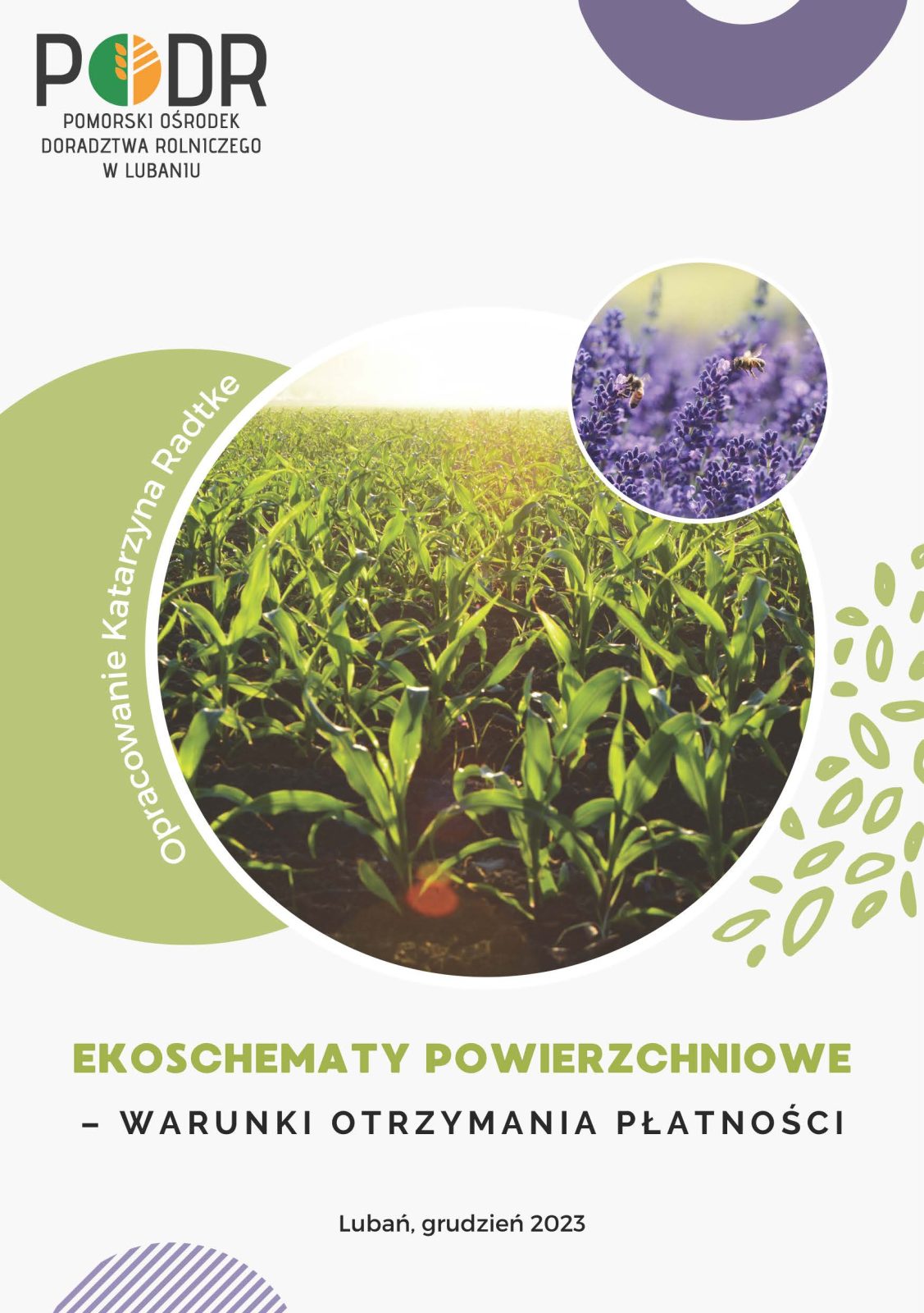 ekoschematy