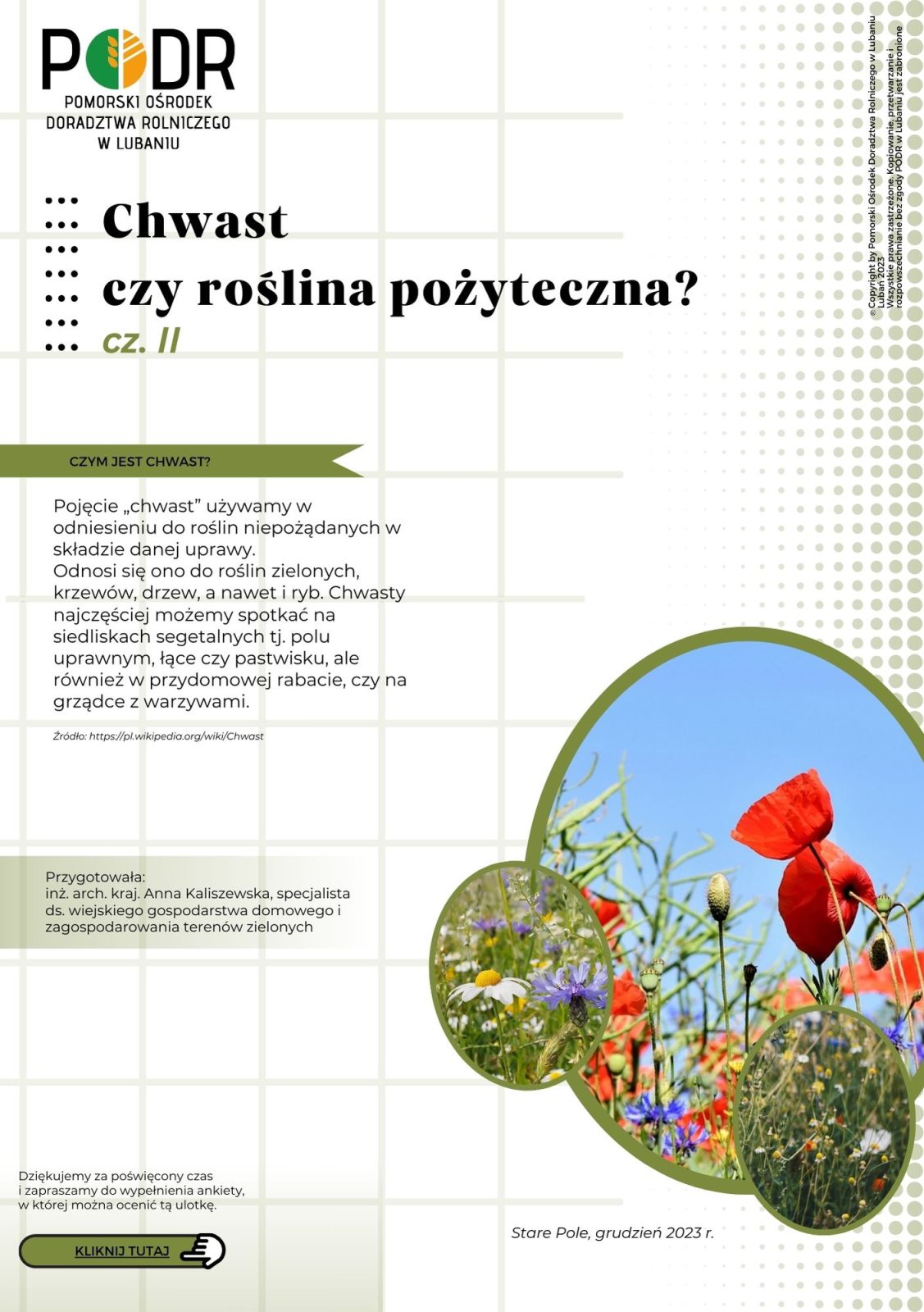 okładka ulotki