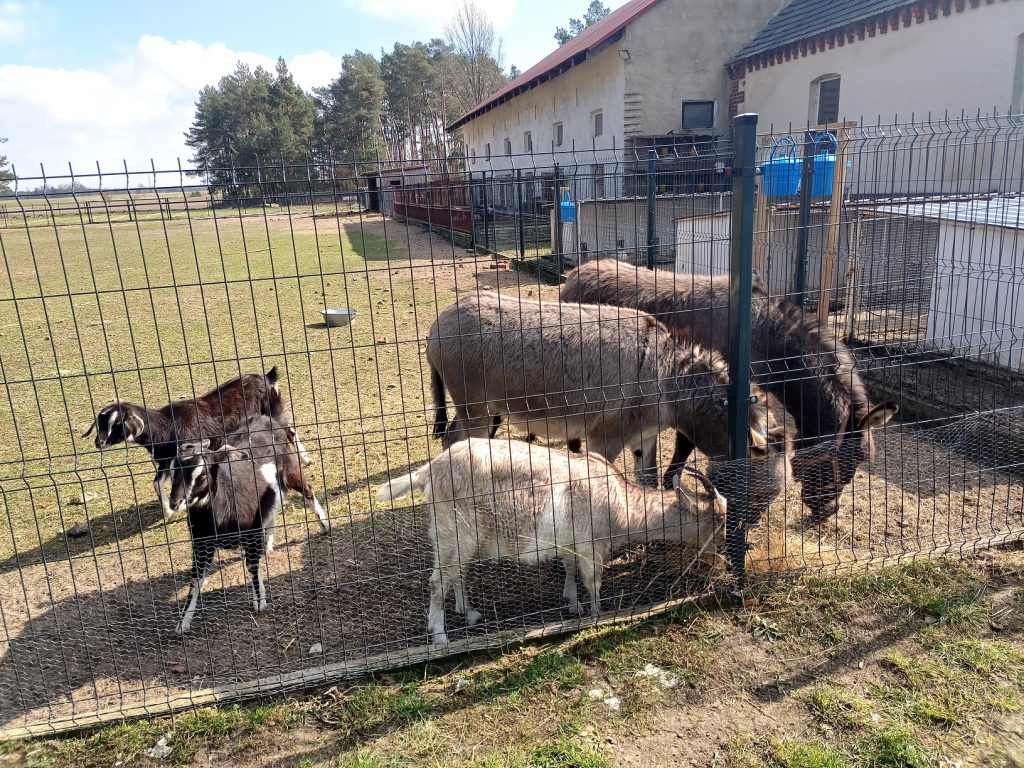 Zagroda edukacyjna