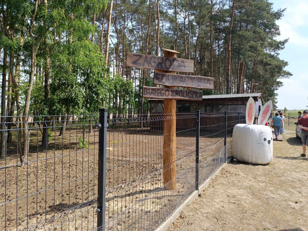 Demonstracja kurczęta rzeźne 2