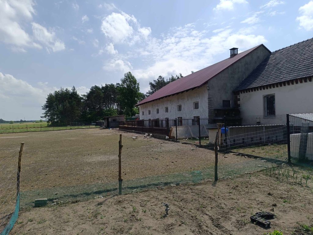 Gospodarstwo Pana Tomasza Kupaj