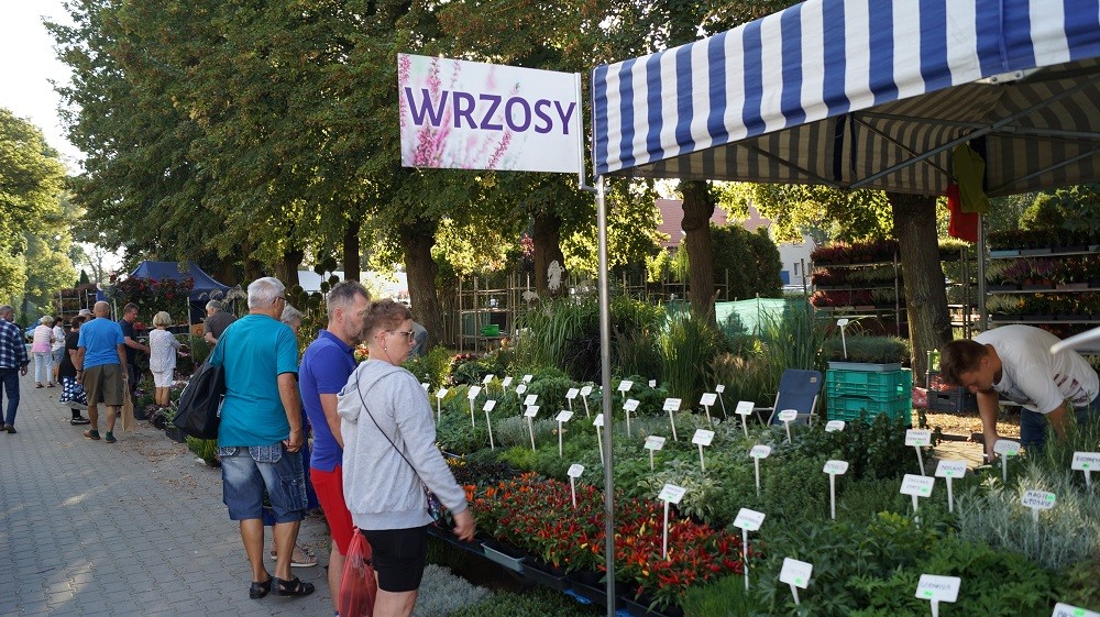29. Jesienne Targi Ogrodnicze w Starym Polu