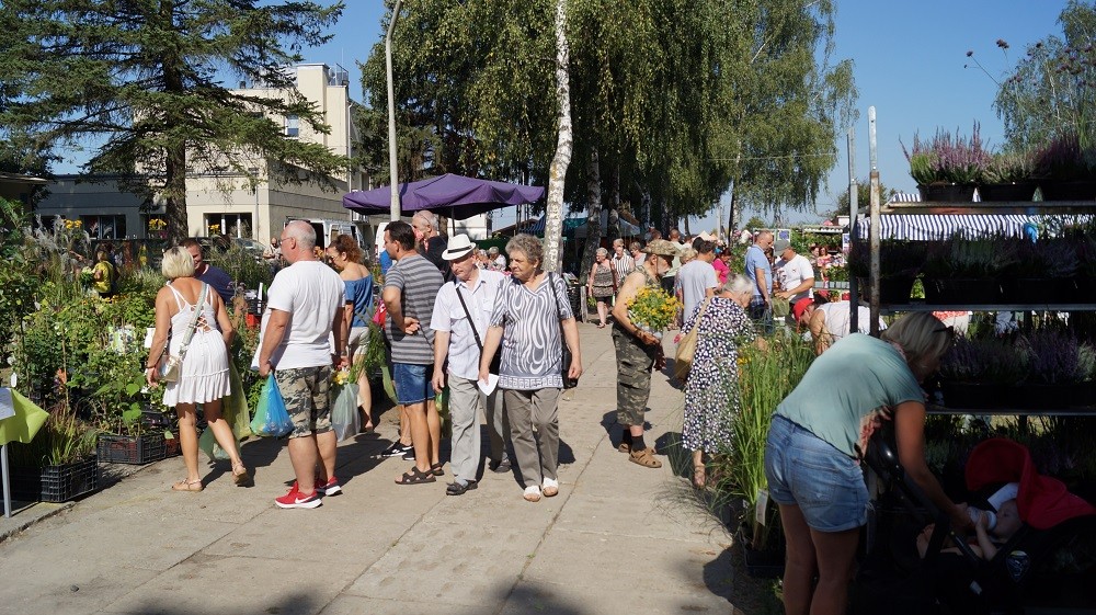 29. Jesienne Targi Ogrodnicze w Starym Polu