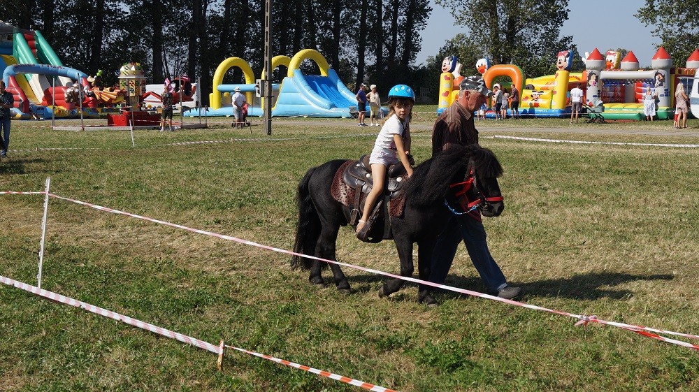29. Jesienne Targi Ogrodnicze w Starym Polu