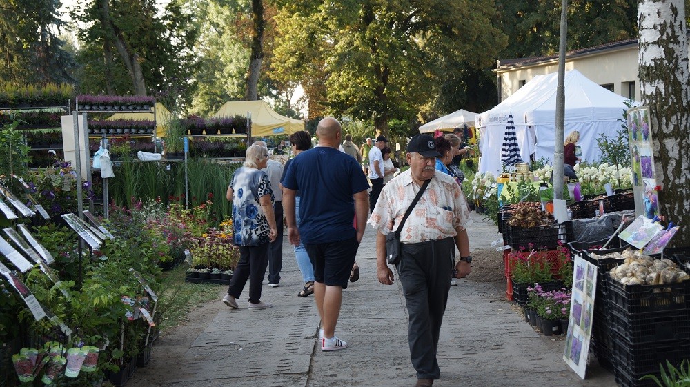 29. Jesienne Targi Ogrodnicze w Starym Polu