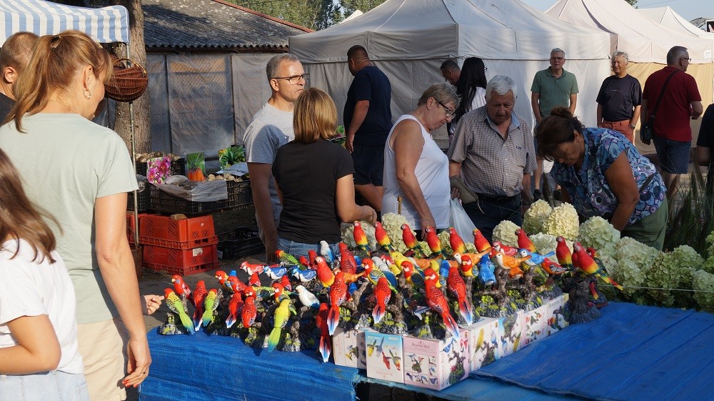 29. Jesienne Targi Ogrodnicze w Starym Polu